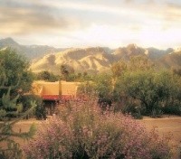 Canyon Ranch 